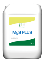 MgS Plus