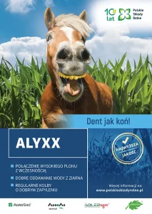 Alyxx