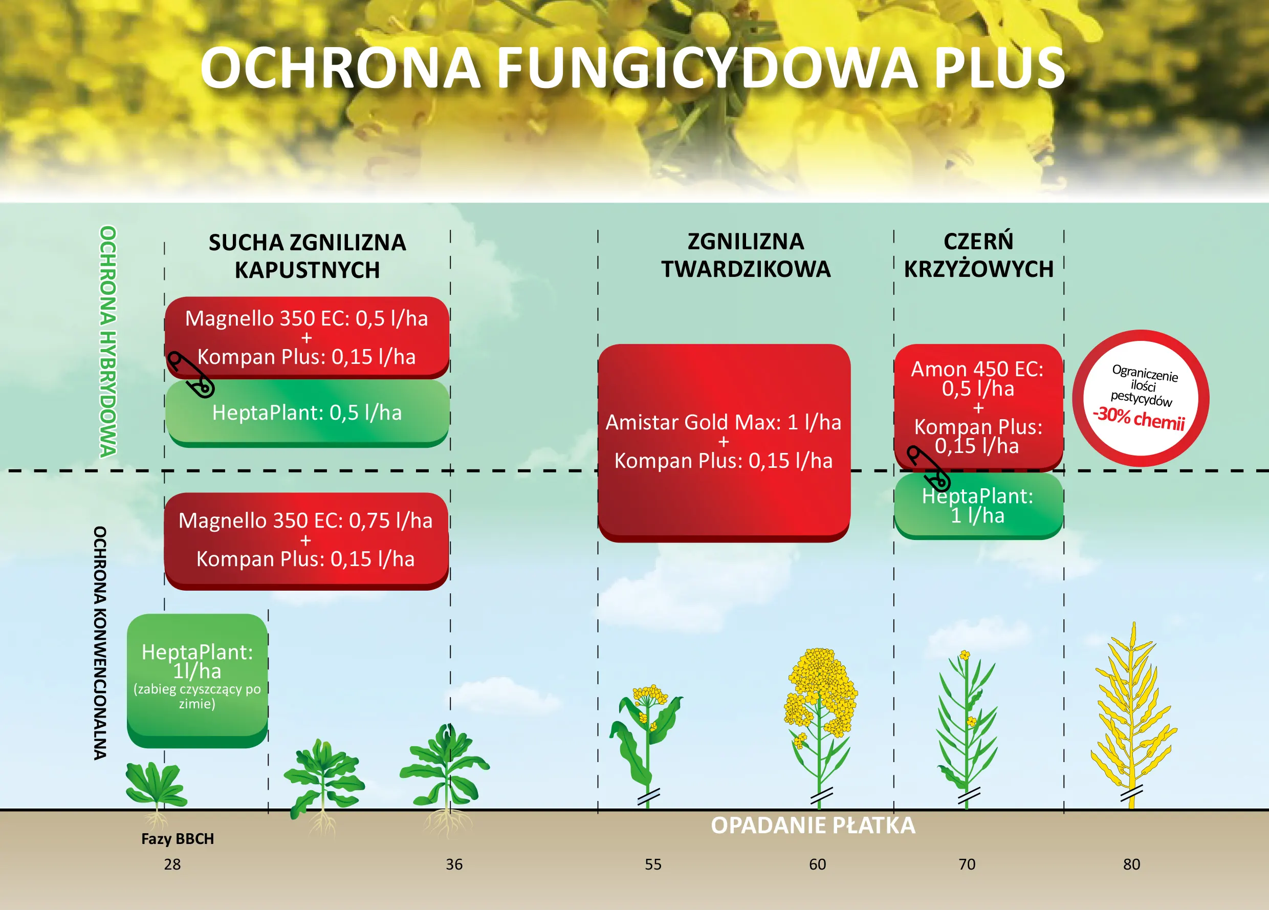 Ochrona fungicydowa plus