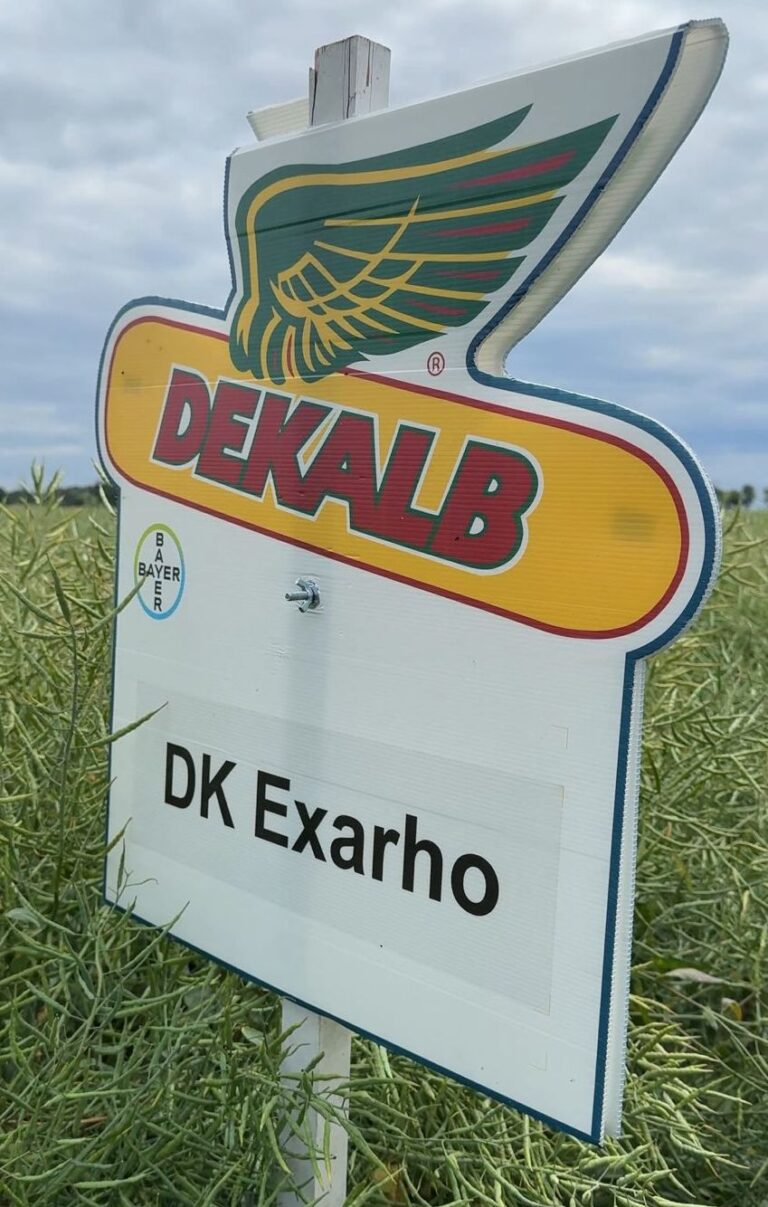 DK EXARHO