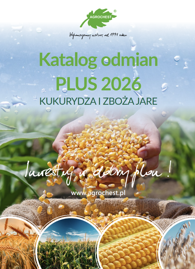 Katalog Kukurdza i zboża jare 2026