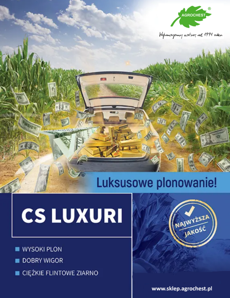 Kukurydza LUXURI CS
