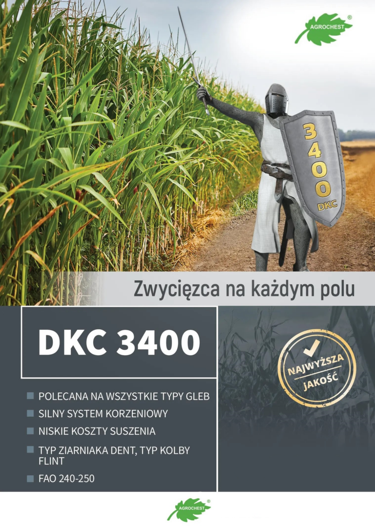 Kukurydza DKC 3400