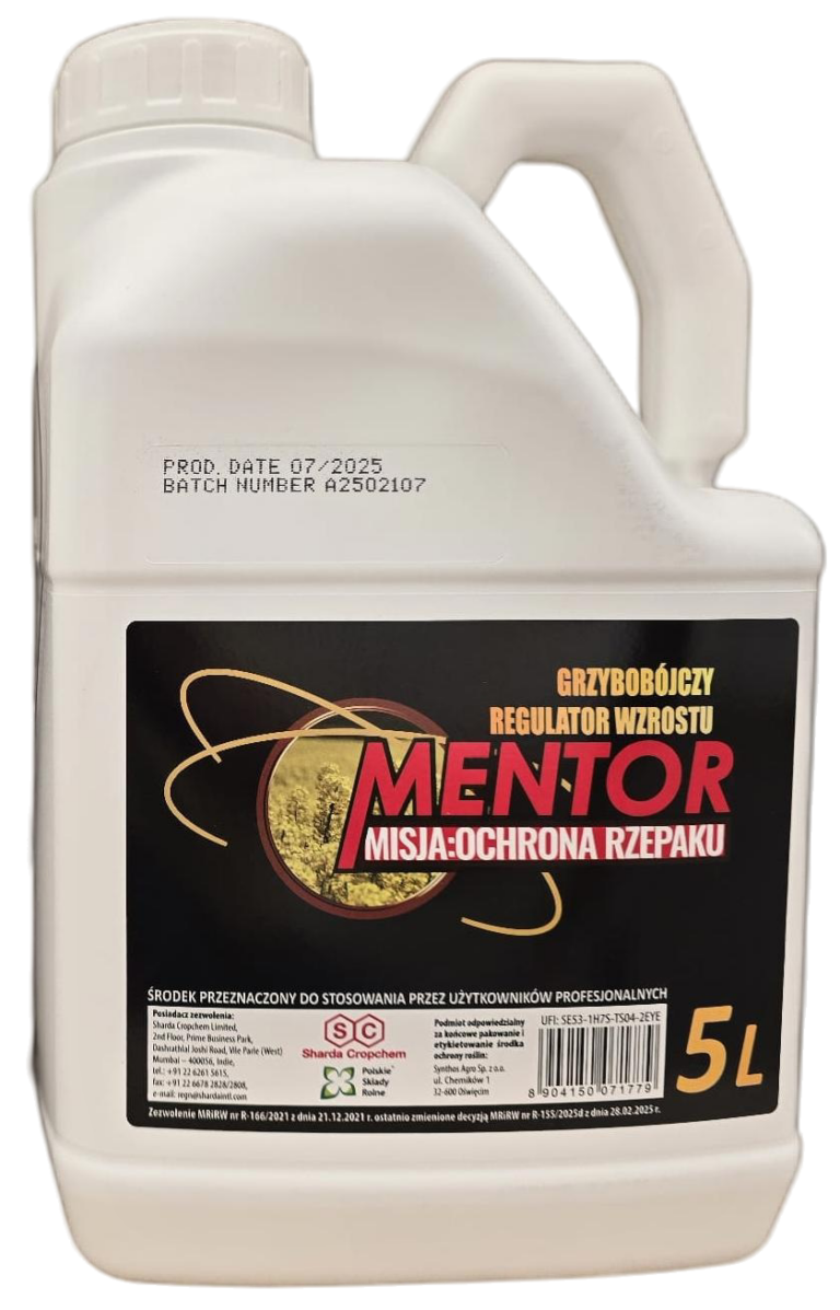 Mentor