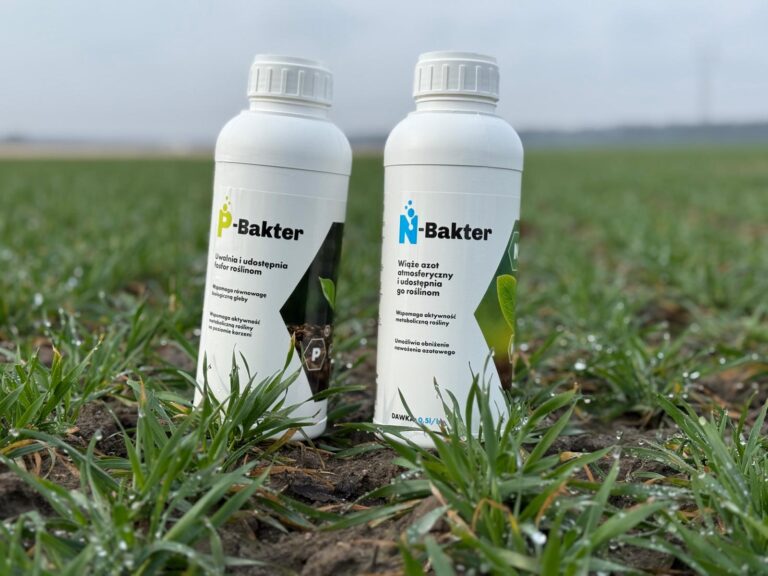 Naturalne źródło azotu dla Twoich roślin – skuteczna alternatywa dla nawozów mineralnych