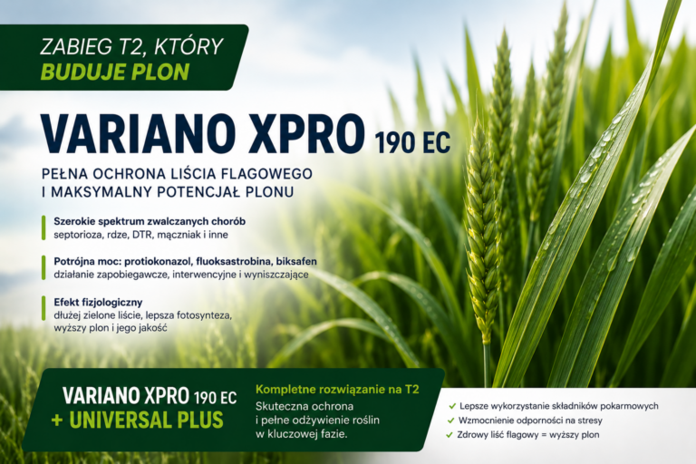 Variano Xpro  + Universal PLUS – Zabieg T2