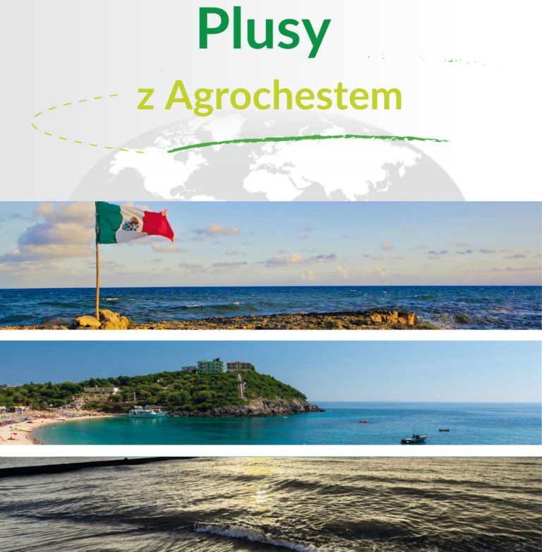 Plusy z Agrochestem – ruszamy po nagrody!