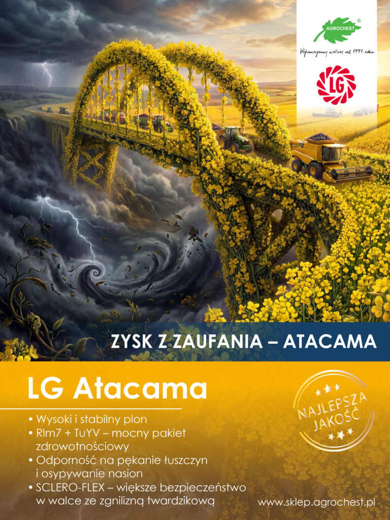 Zysk z zaufania – Atacama