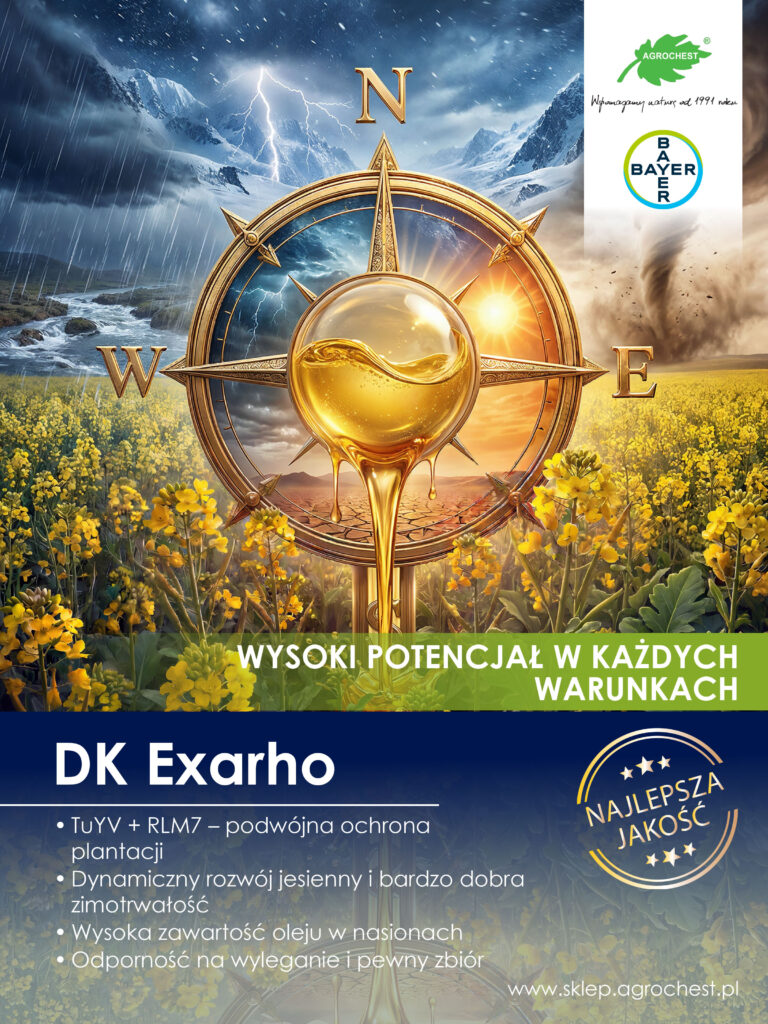 DK EXARHO – nowa jakość w uprawie rzepaku ozimego